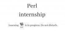 perl internship camel banner