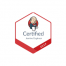 Certified Jenkins Engineer