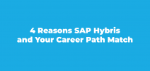 SAP Hybris for Java Programmer careers