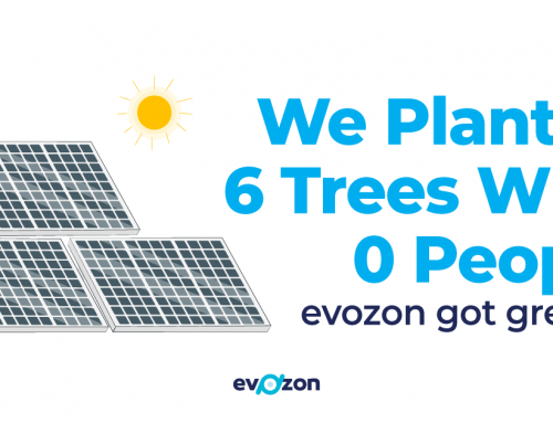 We Planted 6 Trees With 0 People [Evozon Got Greener]