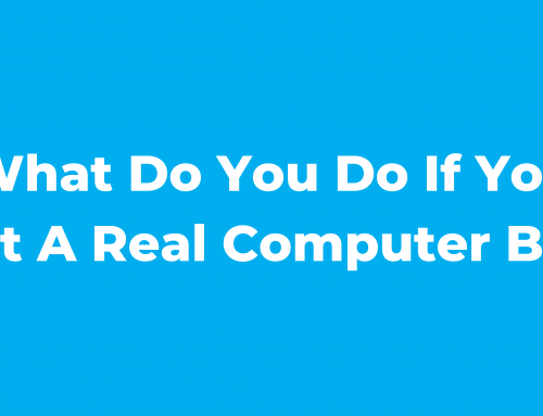 What Do You Do If You Spot A Real Computer Bug?