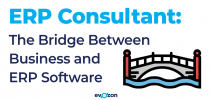 ERP Consultant: The Bridge Between Business and ERP Software